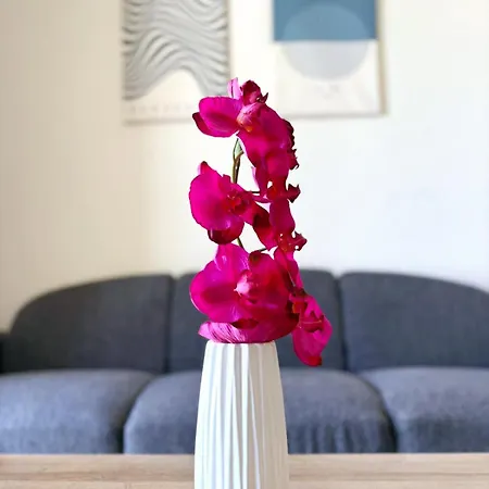 Sunrise Palette Apartment