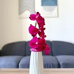 Sunrise Palette Apartment