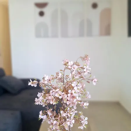 Sunrise Palette Daire