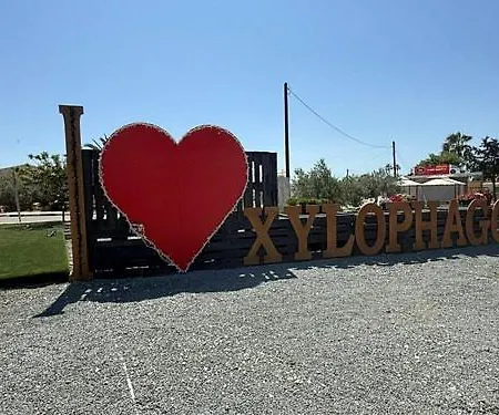 Sunrise Palette Ларнака