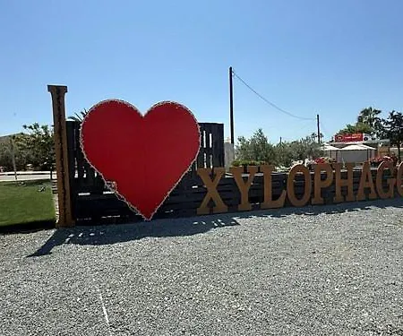 Sunrise Palette Larnaca